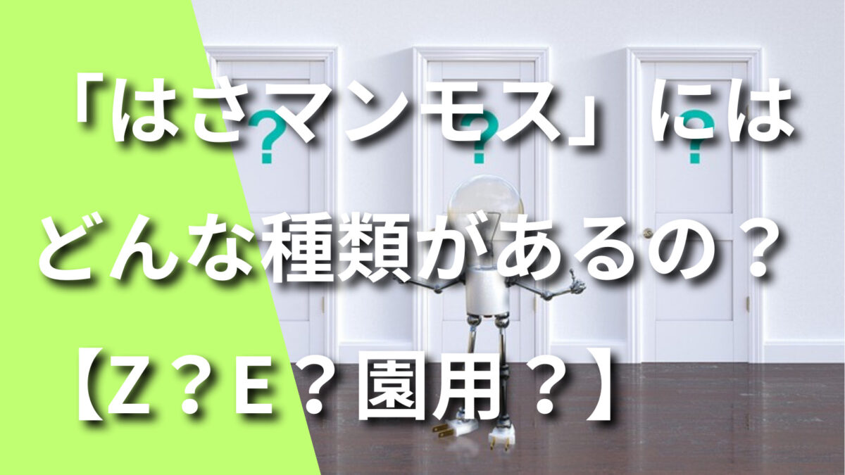 指はさみ防止キッズ 「はさマンモス」にはどんな種類があるの？【Z？E？園用？】 -